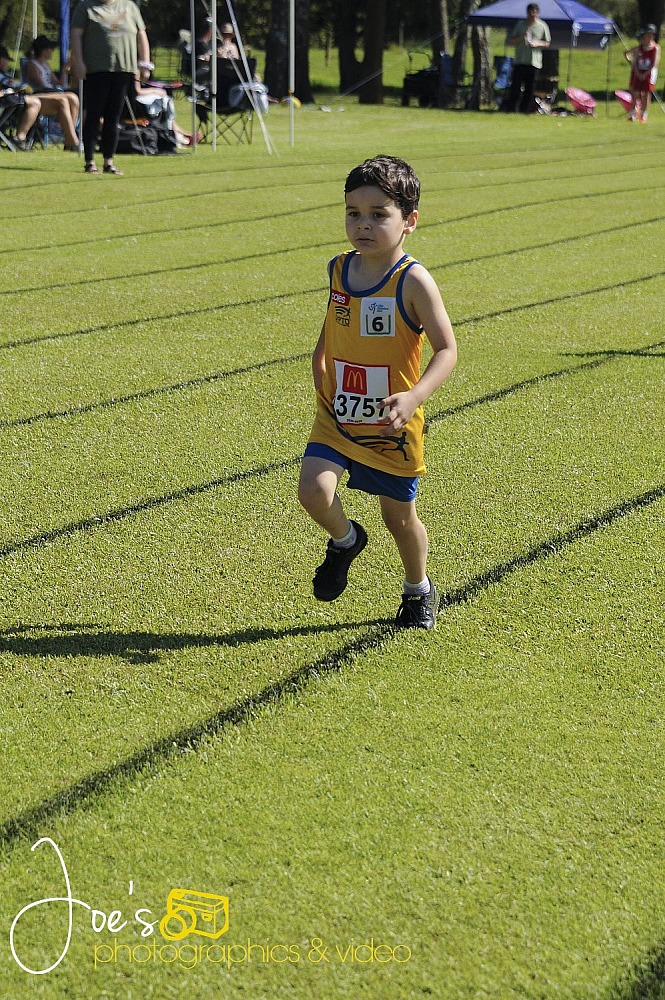 2022 Dapto Little Athletics Competition Day