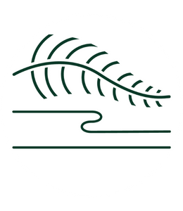 Oak Flats High School