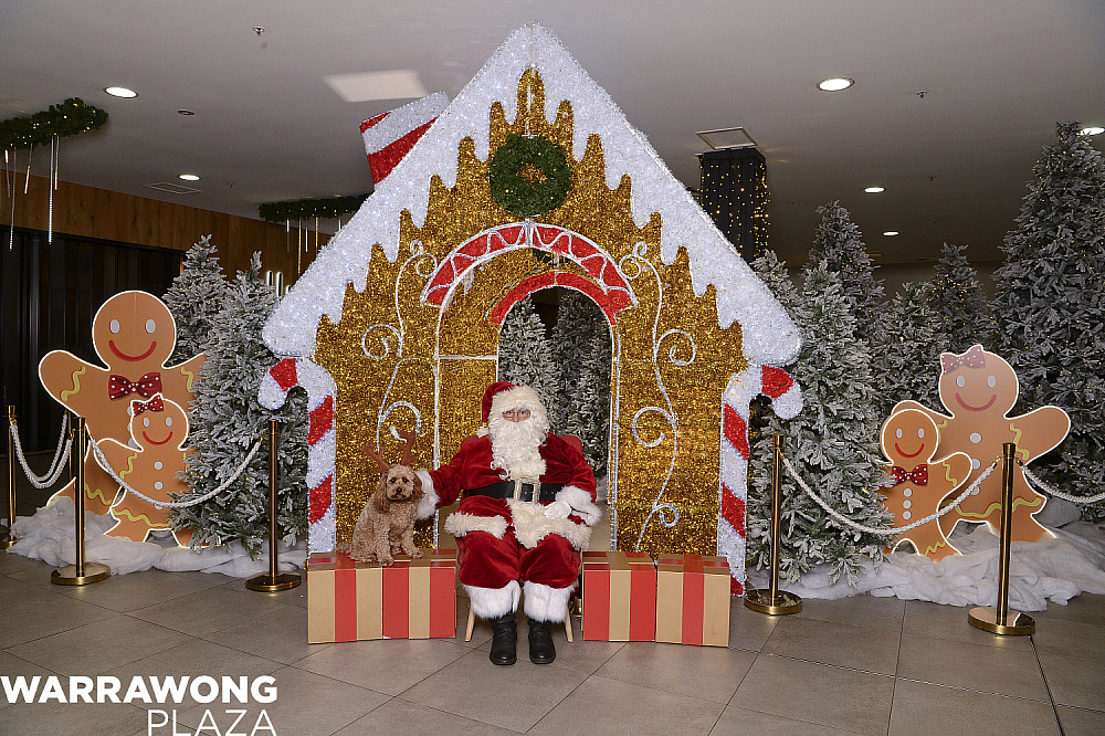 Warrawong Plaza Pet Photos - 16 December 2024