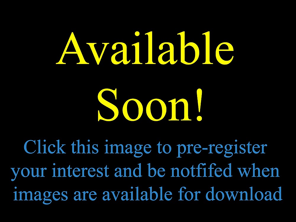 2025 St Joseph’s Catholic High School Year 12 Formal